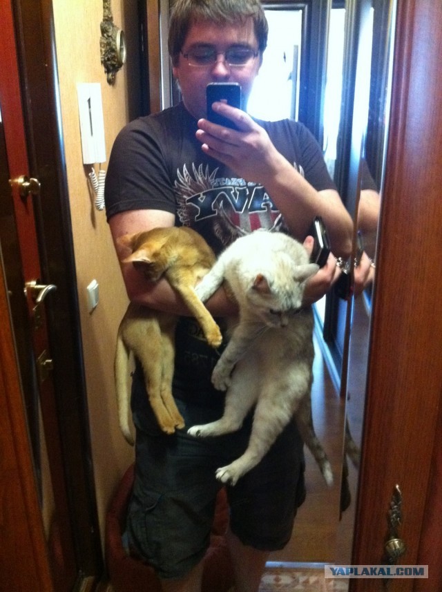 Котовторник 09.04.2013