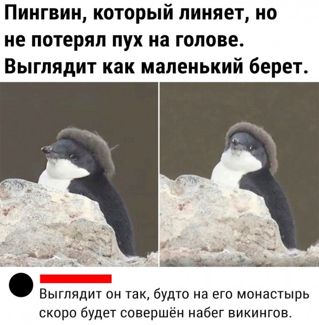 Так себе картинки 04.06.23