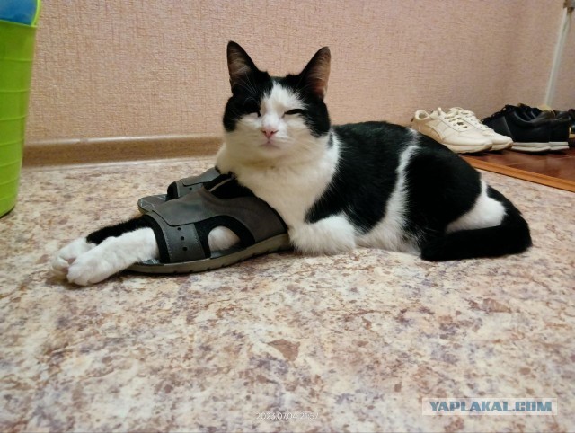 Вот