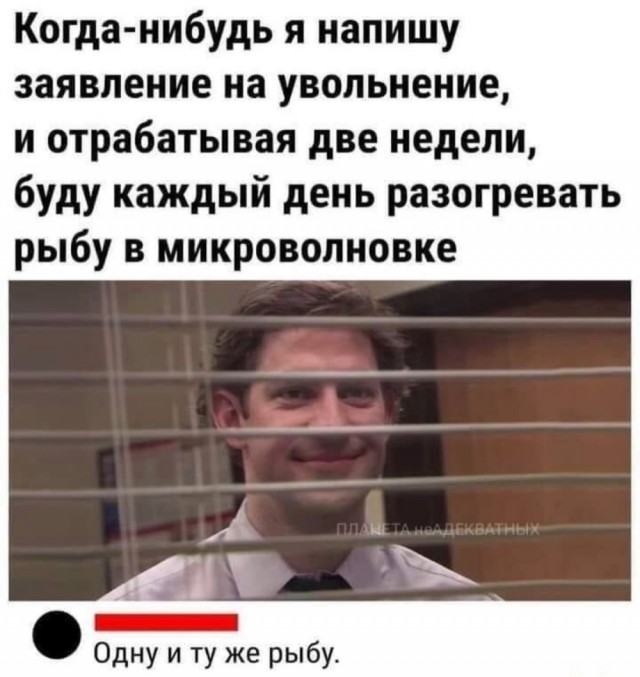 Нуштош 06.07.2023