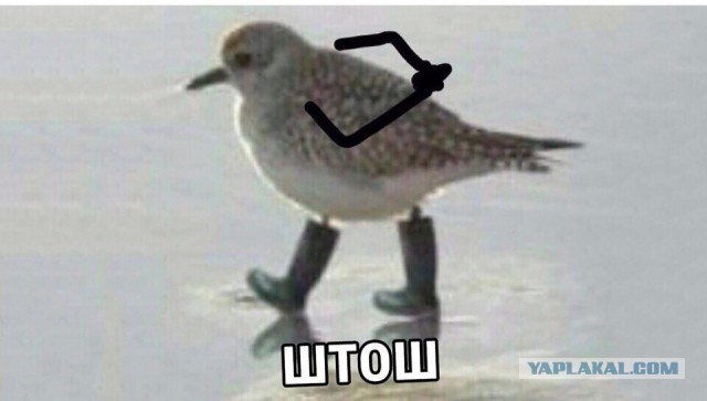 Перекличка грибников