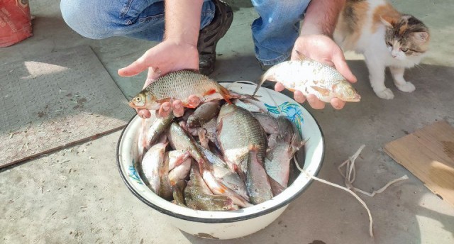 Рыбалка на Азовском море