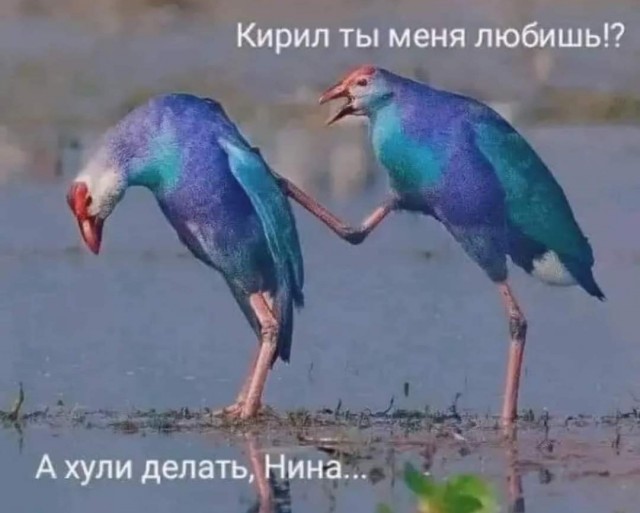 Улыбательные картинки и тексты.