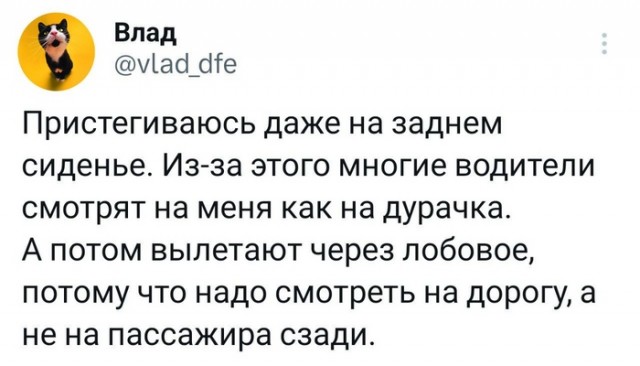 Забавные комментарии из социальных сетей 06.11.23