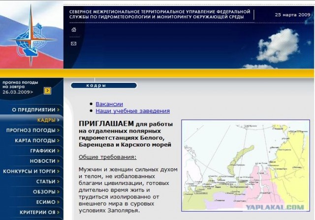 Анти лучшая работа в мире