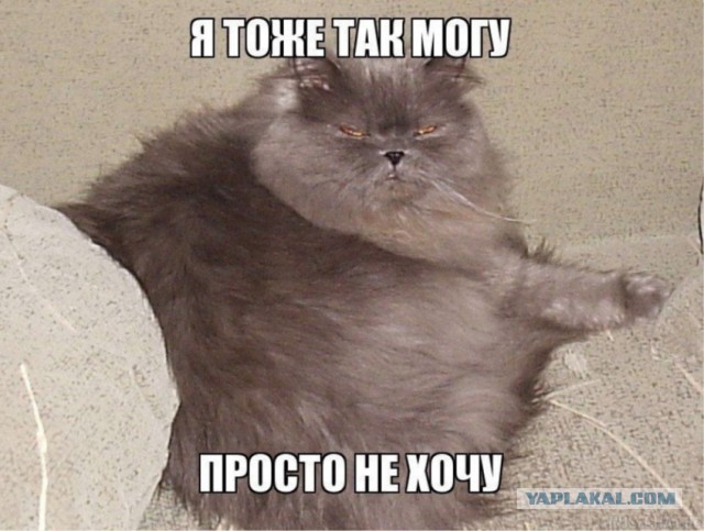 Турник в шаговой доступности