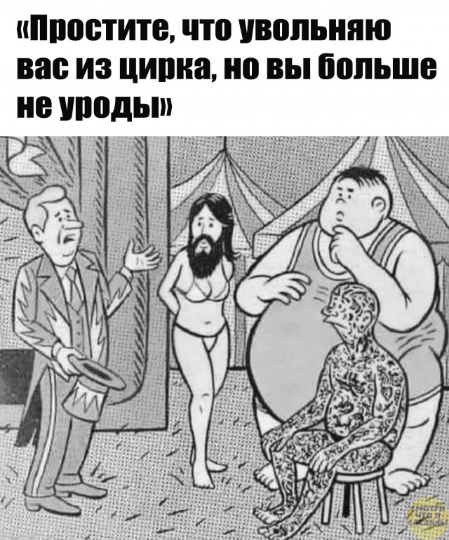 Весёлые картинки
