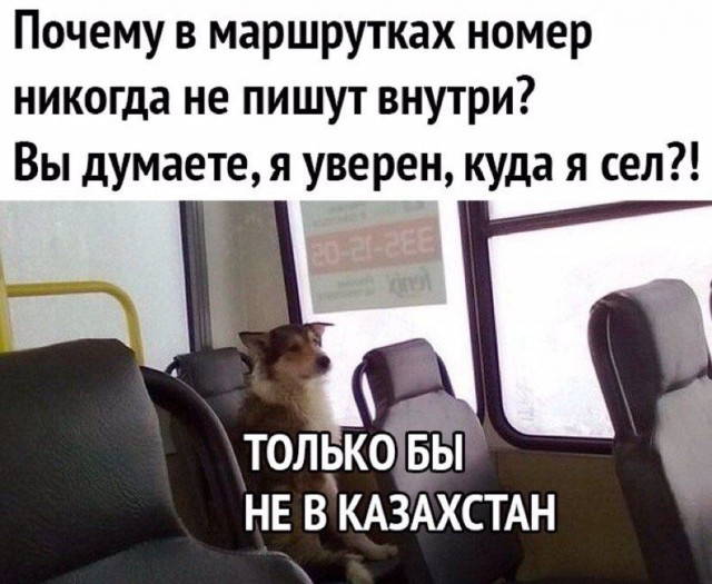Так себе картинки 04.05.24