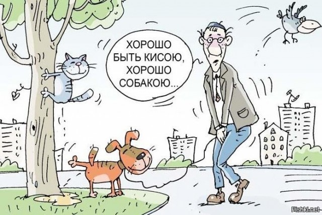 А где срать-то?