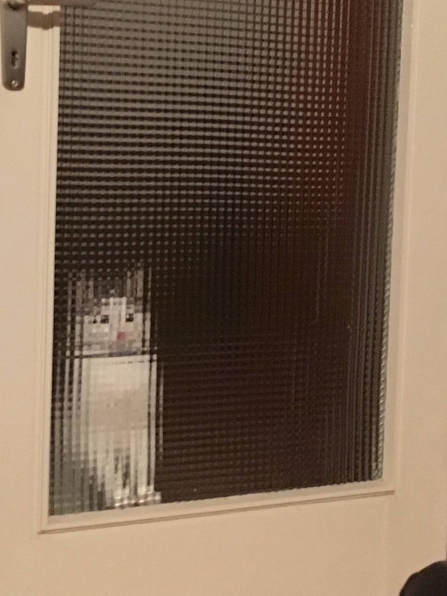 Картина. Кот за дверью