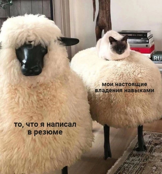 Веселые картинки к пятнице (12.07)