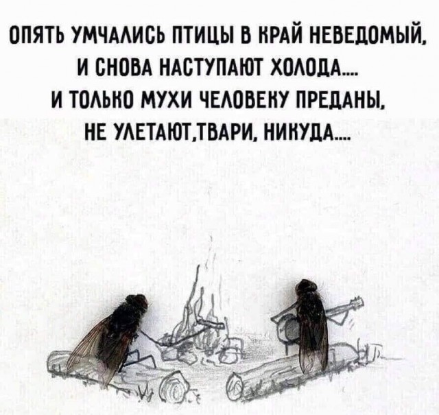Завалялось тут случайно немного забавных картинок