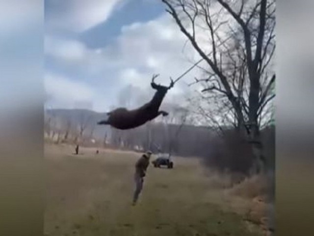 Начал пить