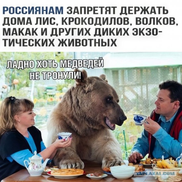 Веселые картинки в маленькую пятницу (09.04)