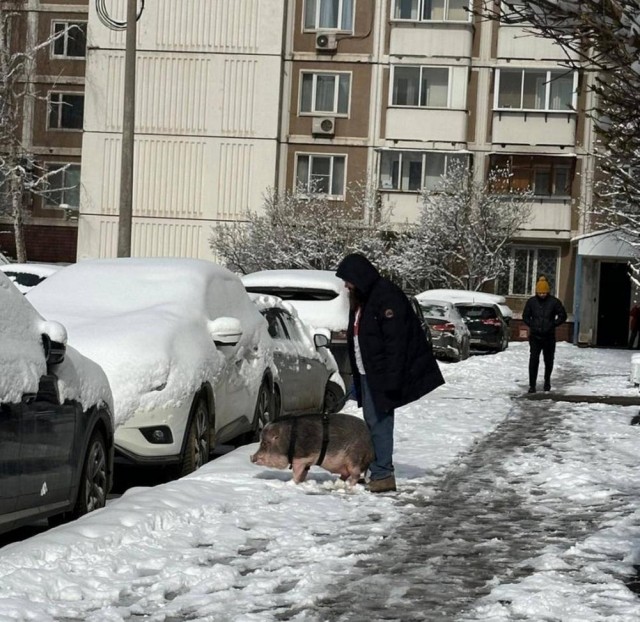Прикольные и просто красивые картинки 11.04.2025