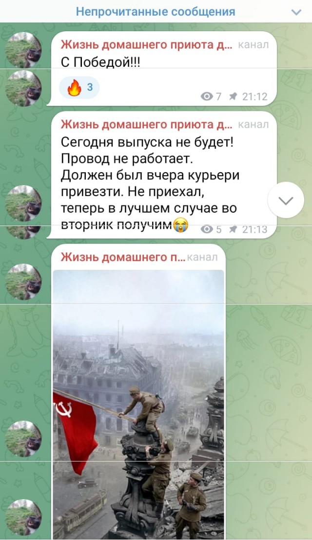 Жизнь домашнего приюта для котеек 542