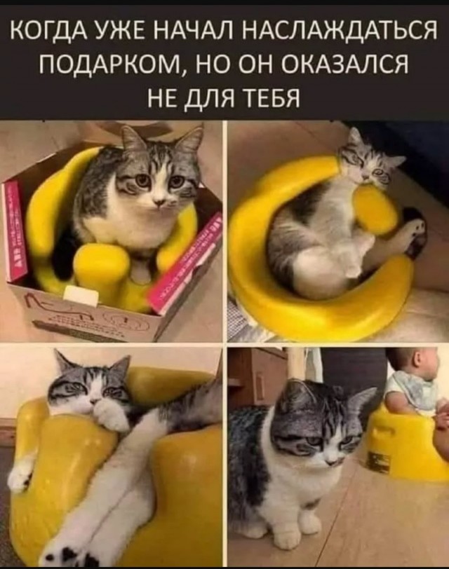 Так себе картинки 13.06.25