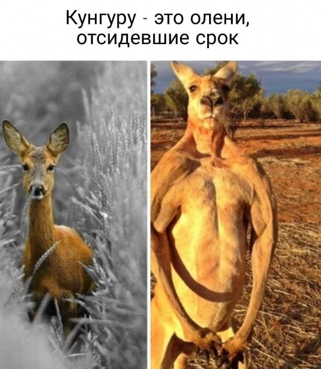 Ну что, господа. Послепраздничная дичь