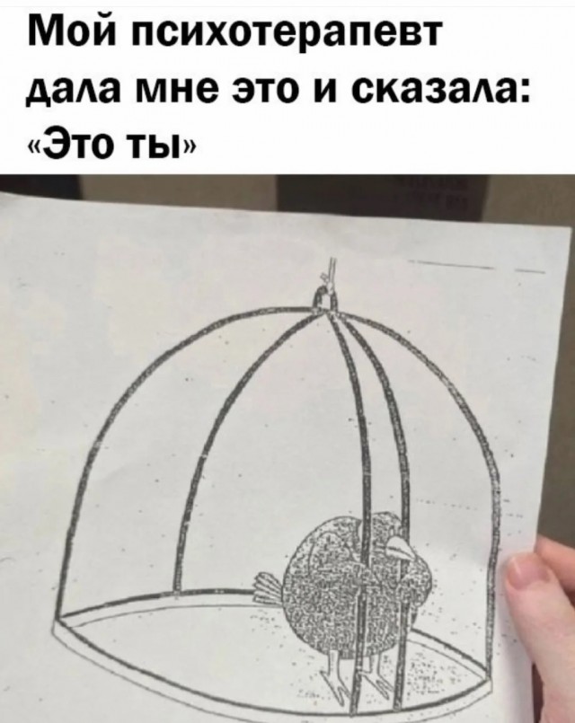 Так себе картинки 28.06.25