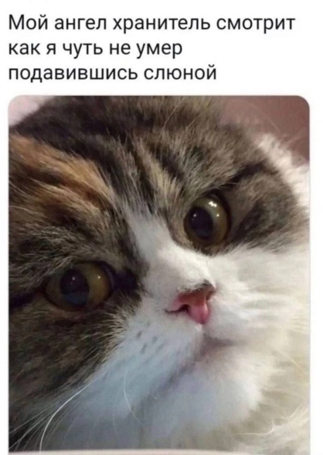 Так себе картинки 03.07.25