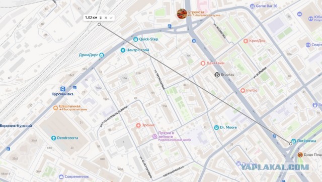 В Воронежской области в результате атаки дронов пострадали 16 человек