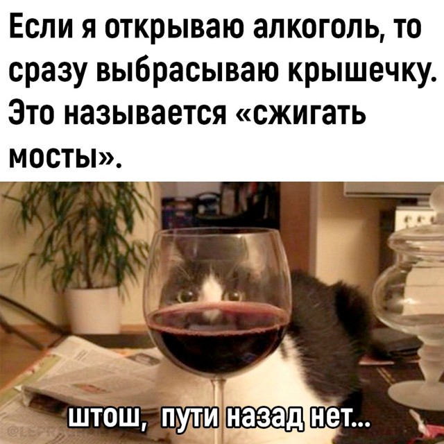 Картинки для деградации-6 (разной степени свежести)