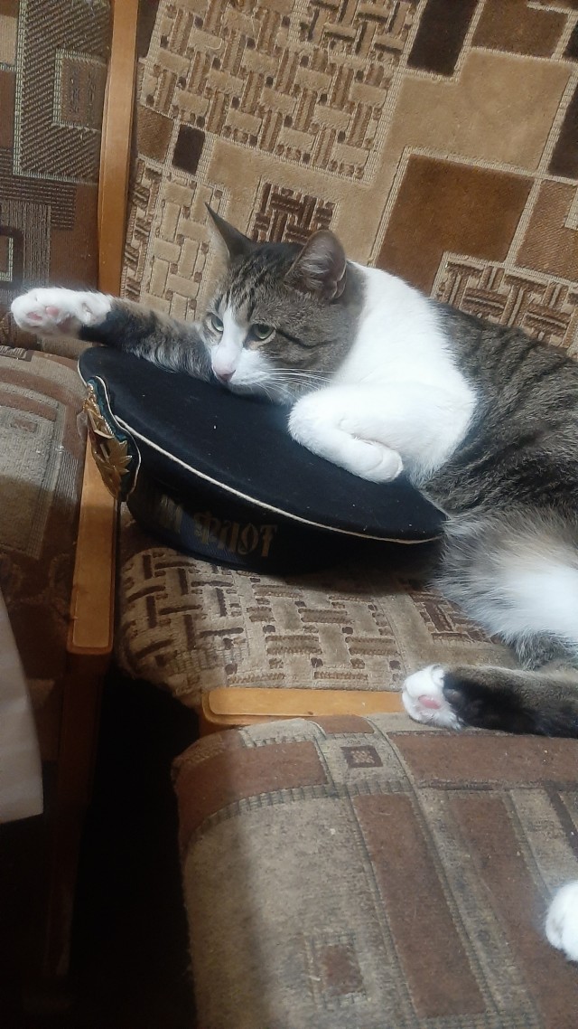 С днём ВМФ народ!