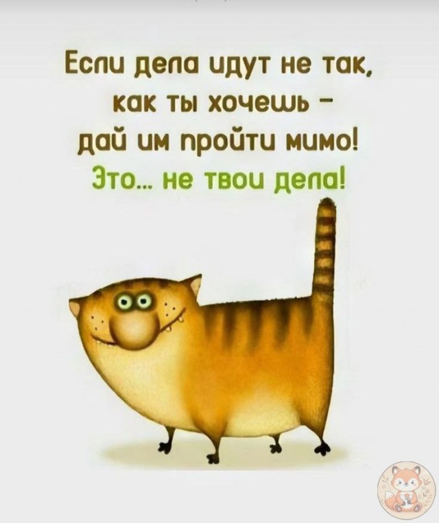Так себе картинки 27.07.25