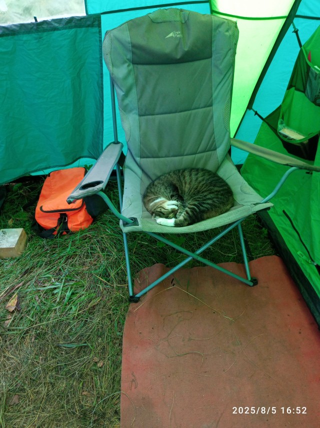 Коттофвторниг