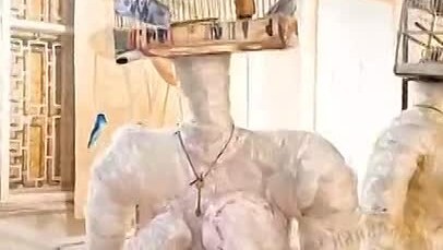 Музей , Одесса , канареечные клетки , современное искусство.