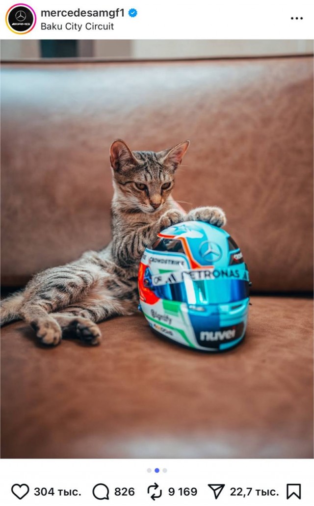 Главной звездой Формулы-1 в Азербайджане стал кот