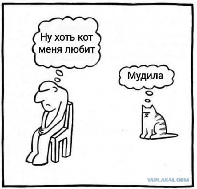Так себе картинки 07.10.25