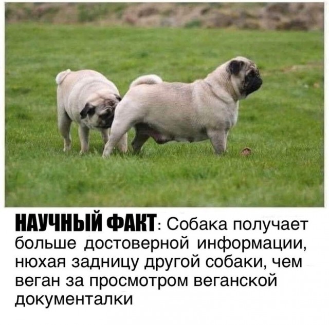 Люди, прогуливающие кладбище