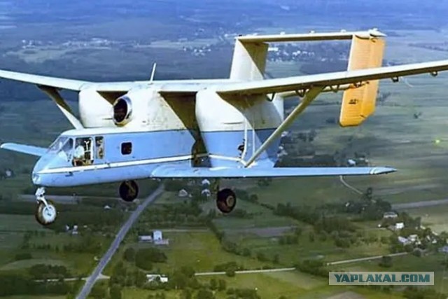 Какой же он красивый