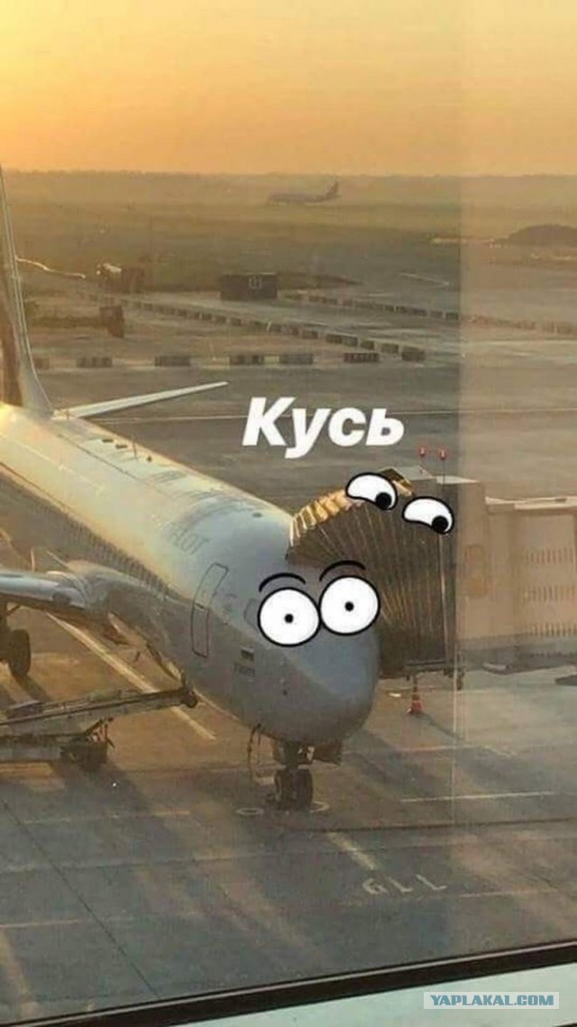 Забавные и не очень скромные картинки - 18