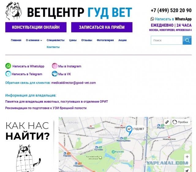 — Ты хоть его взвешивала? — Я на глазок все делала