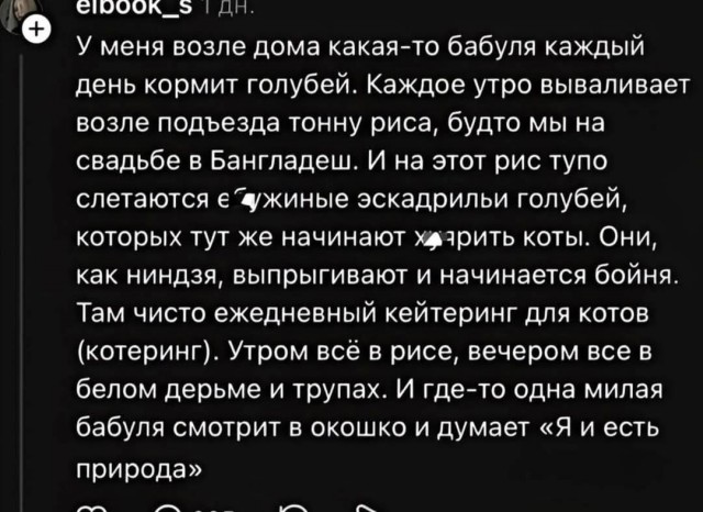 Среды картинки