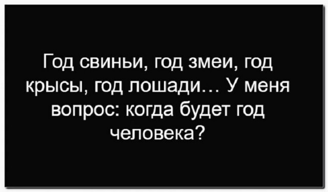 Так себе картинки 24.12.25