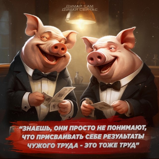 «Я/Мы Машенька»: российский малый бизнес запустил масштабный флешмоб против налогового давления