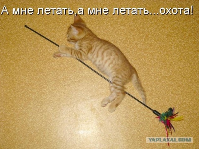Комбо