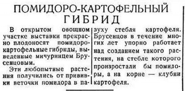 Думал казахские студенты другие кусты выращивают