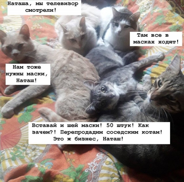 Найди себе уже мужика, Наташа!