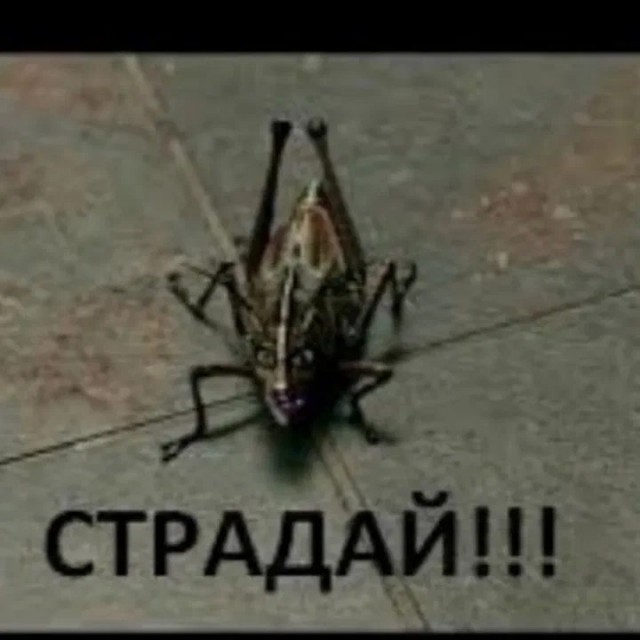 Аж заболело всё