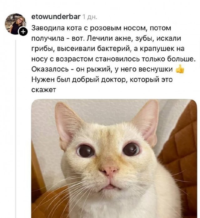 «Заорал, обосс@лся, закатил глаза и пустил слюни»