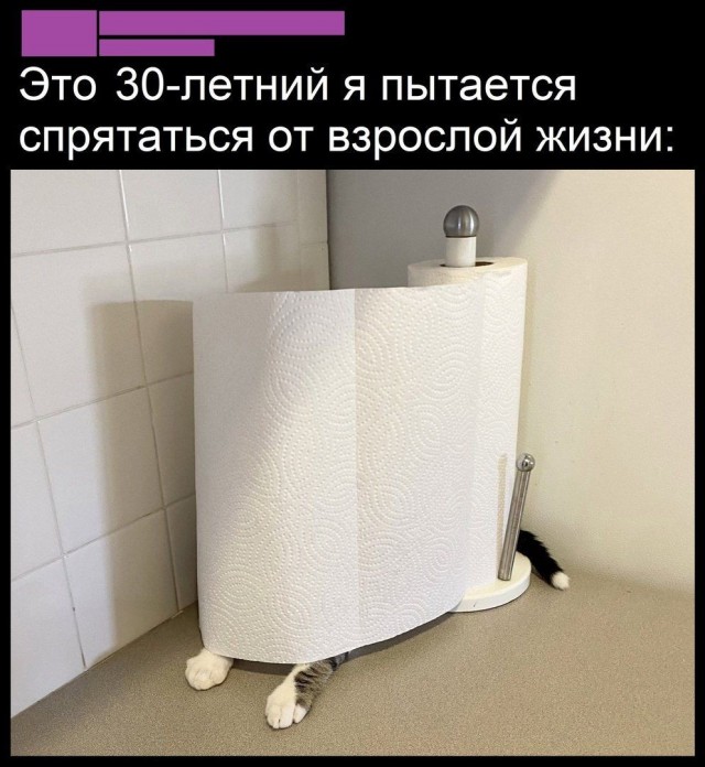 Психомемы-17