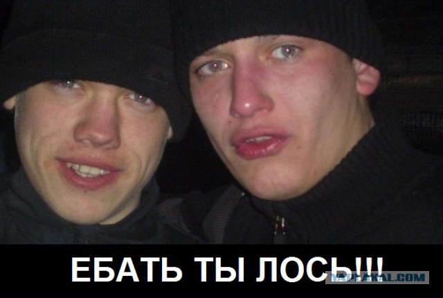 Нежданчик на дороге