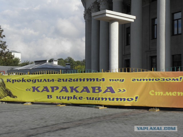 Беларусь 2014