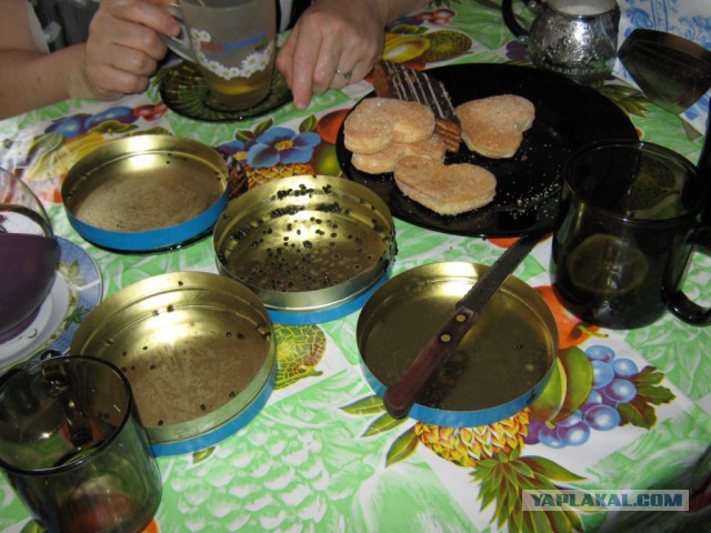 Рецепт закуски на каждый день !
