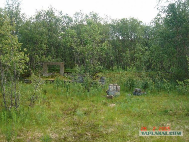 Отчет Банды маргиналов или трэш на Северах