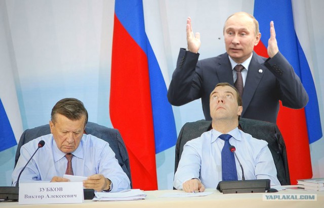 Какие нах санкции, у меня тут шмель!